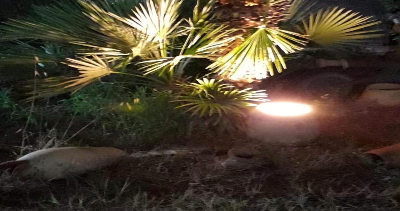 Le Due Palme Ξενοδοχείο Μαρσάλα Εξωτερικό φωτογραφία